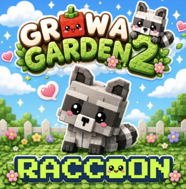 Raccoon