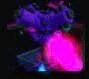 1 Super Sprinkler