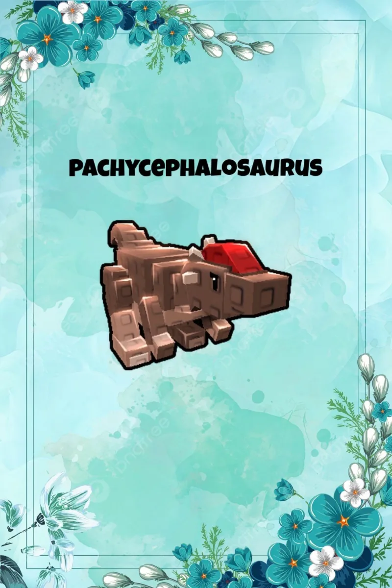 Huge/Titan/Titan Pachycephalosaurus 80-100kg — Account account