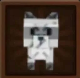 Raccoon (Super) — Account account