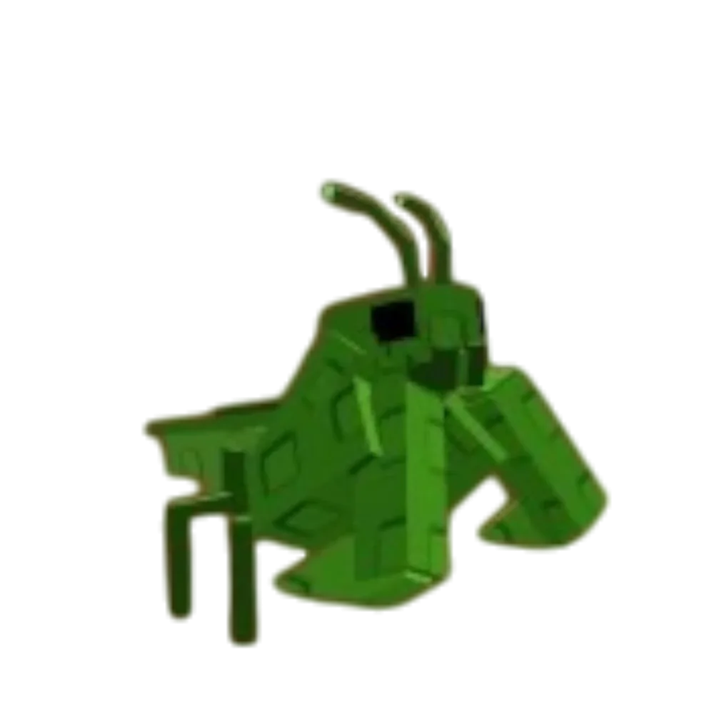 Praying Mantis — Account account