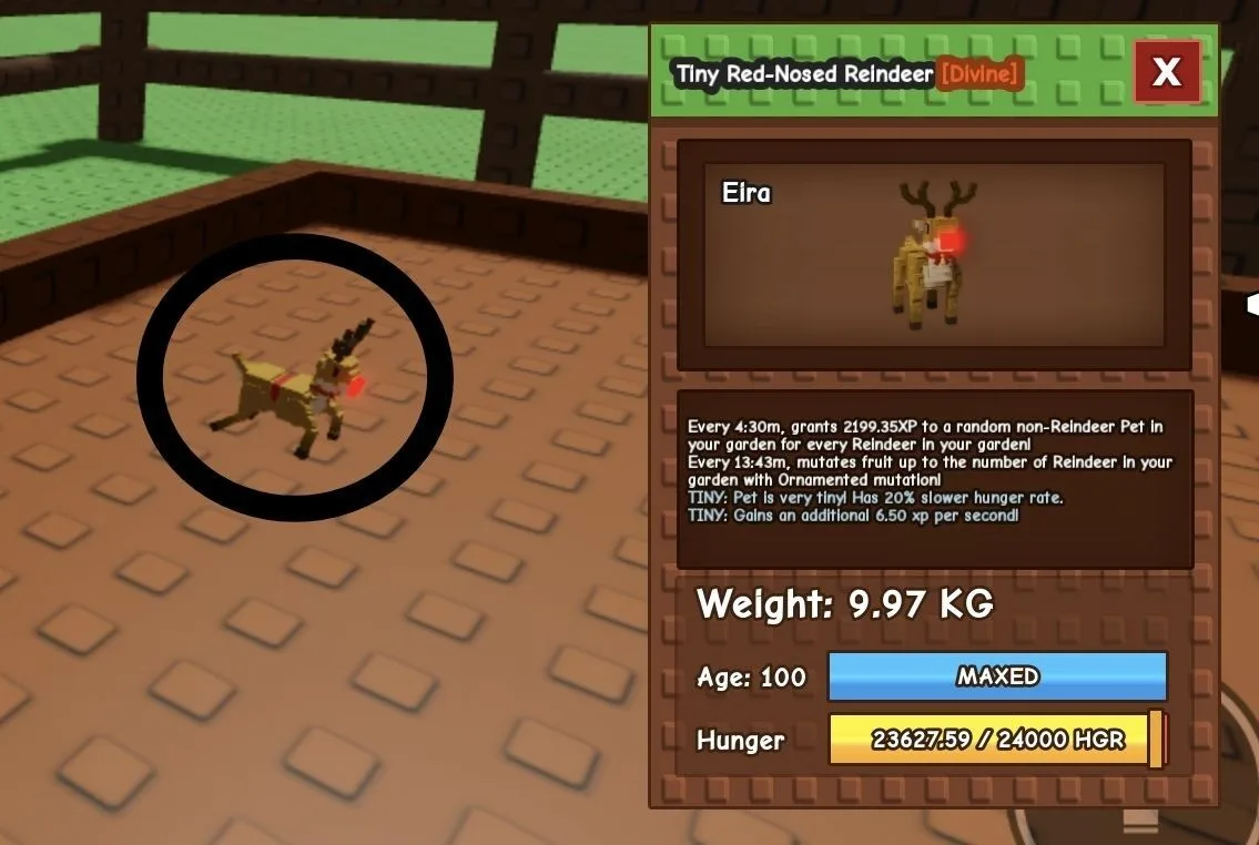 TINY Red-Nosed Reindeer - 9.97 KG (Age 100)