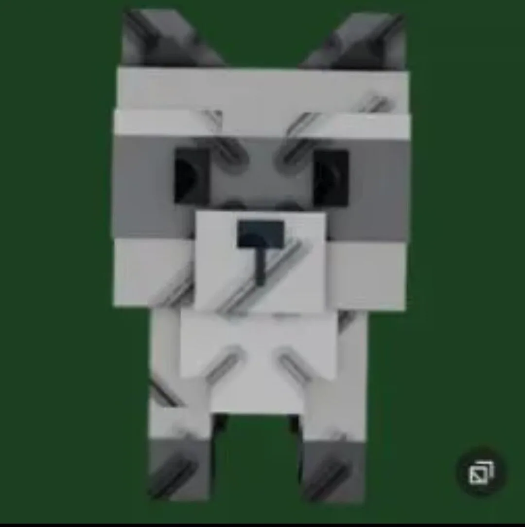 Raccoon (Super)