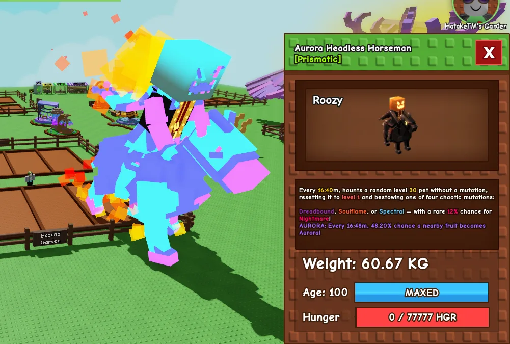 60kg+ Aurora Headless Horseman