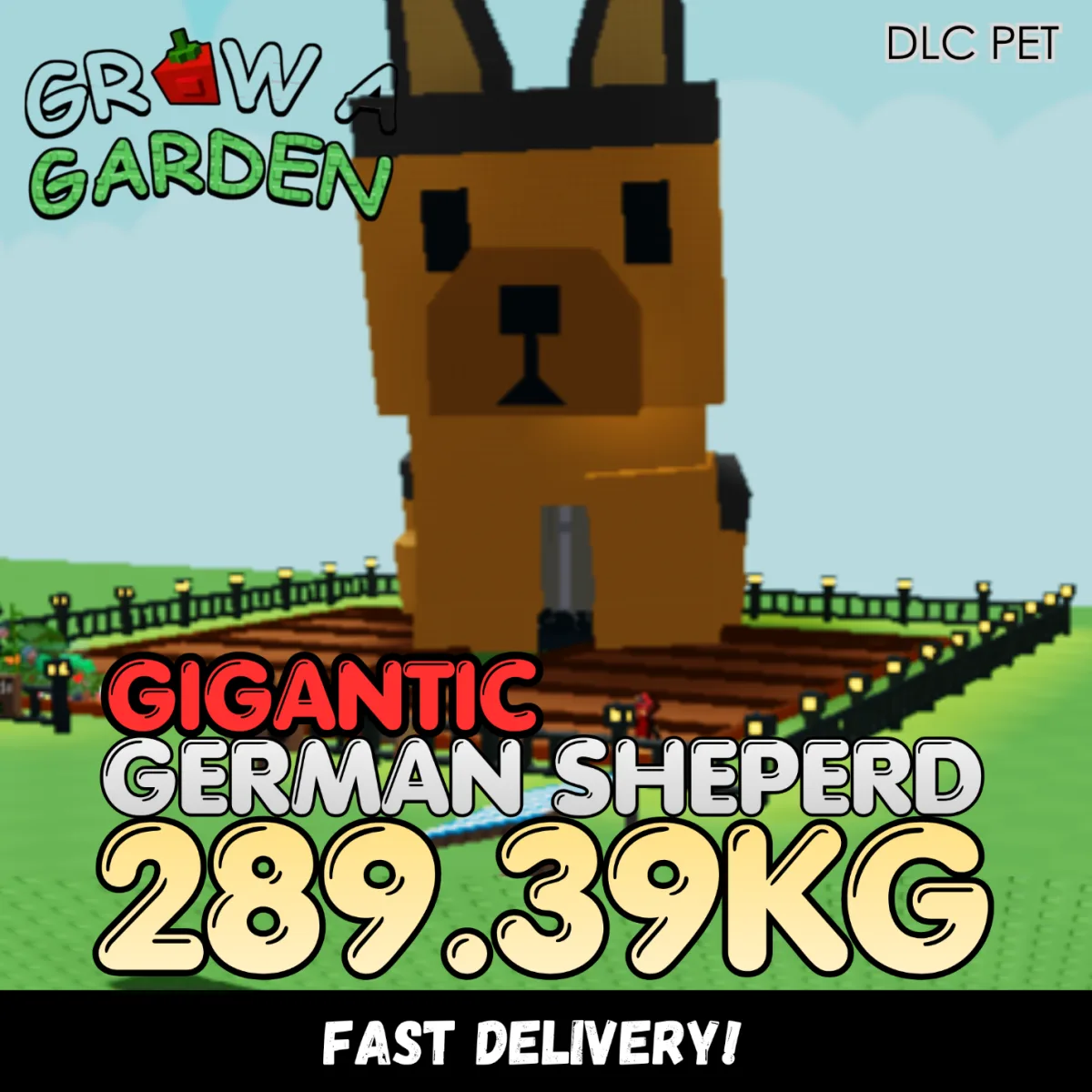 GIGANTIC German Sheperd 289.39KG Huge Age 500 INSTANT DELIVERY
