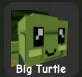 Turtle (Rare)