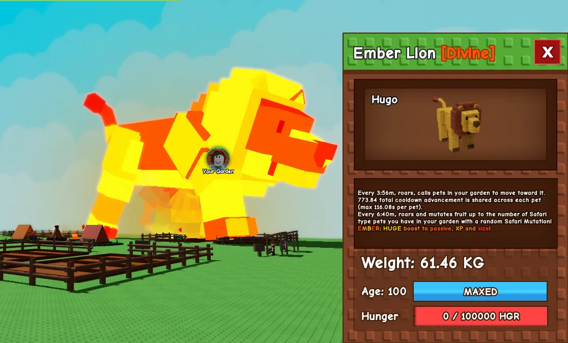 60.63kg+ Age 100 Ember Lion