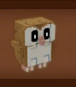 Barn Owl — Account account