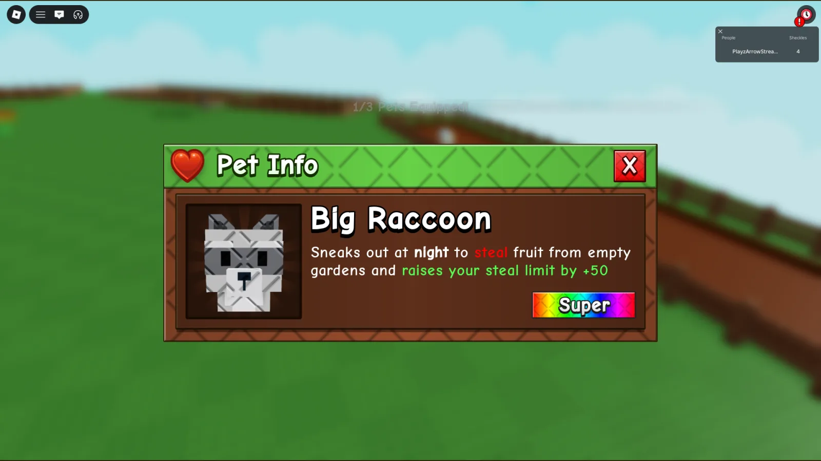 Raccoon (Super)