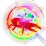 READY RAINBOW HATCH STAG BEETLE 60/61 KG Grow A Garden