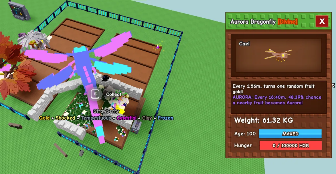 60kg HUGE AURORA DRAGONFLY SUPER HANDSOME ( 60kg+ at level 100, can go to 280kg+ at level 500 max)