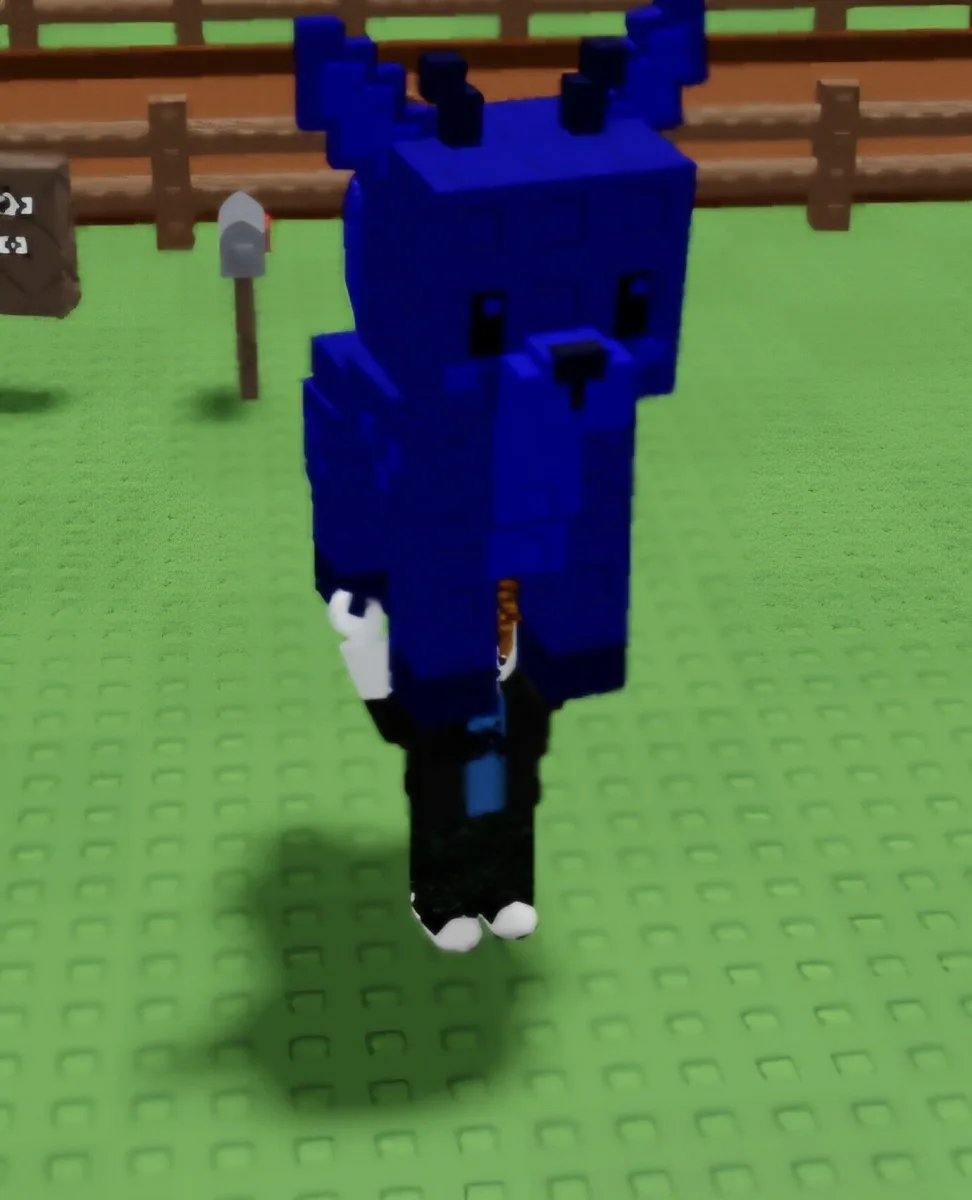 Deer (Common)