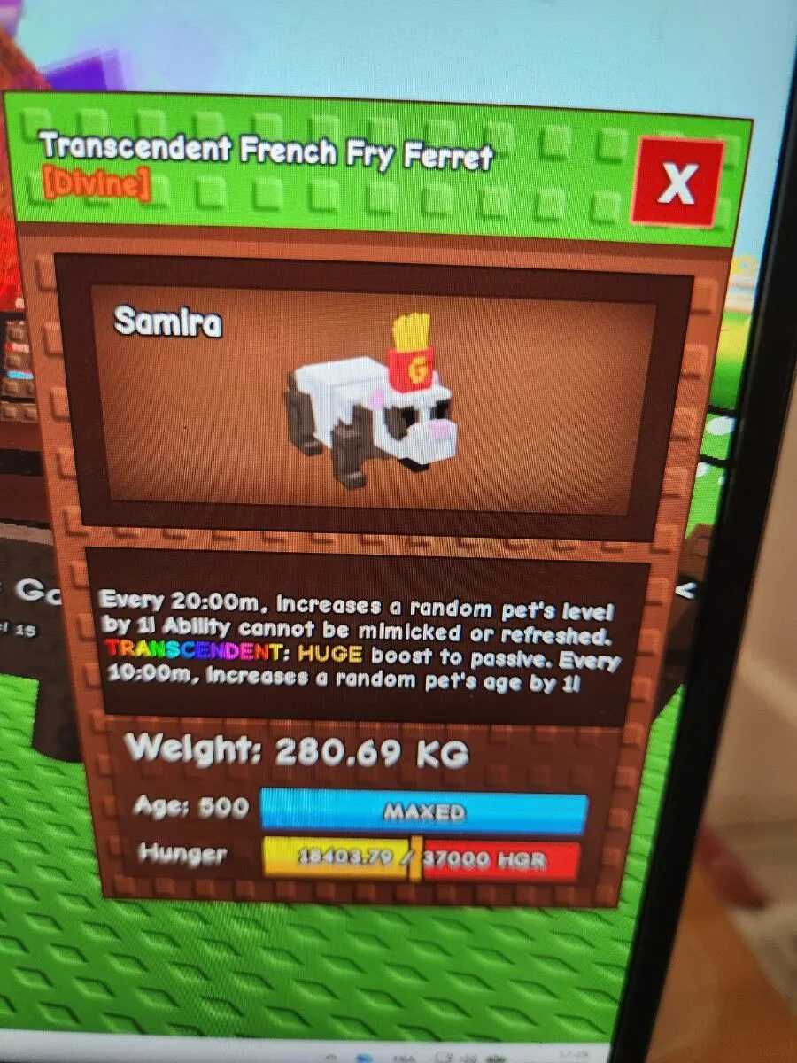 FRENCH FRY FERRET TRANSCENDENT 280KG+