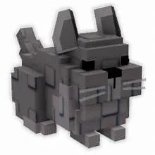 Chinchilla