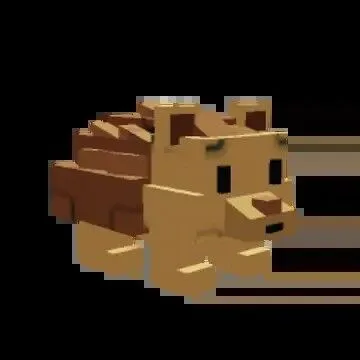 Hedgehog Grow A Garden Fast Delivery