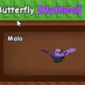 5x butterfly — Account account