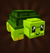 CHEAP NEW PET TURTLE (Rare)