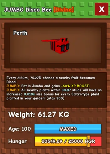 HUGE JUMBO DISCO BEE 60KG - 61KG — Account account