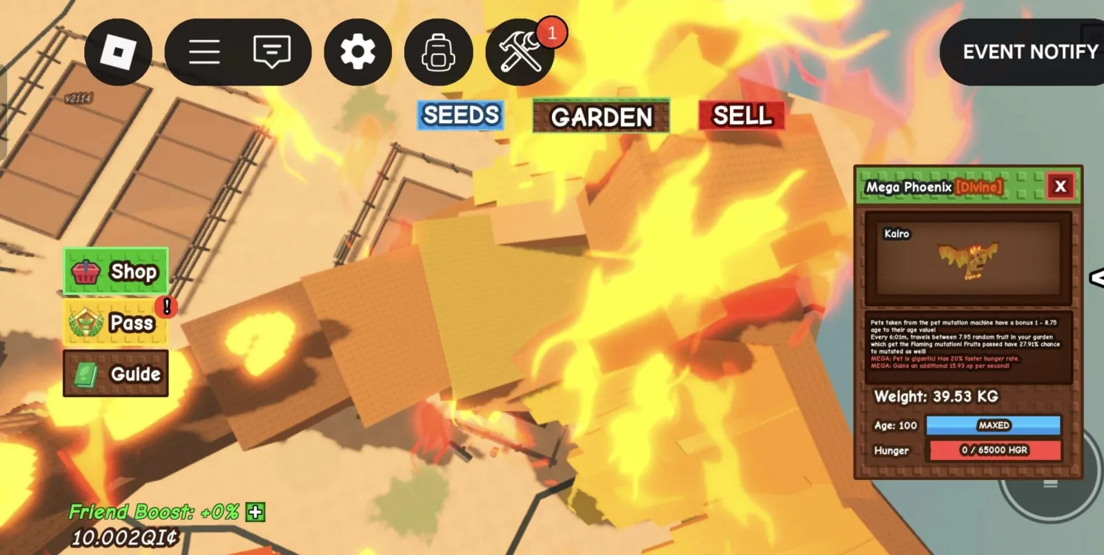 Huge MEGA Phoenix - 39.53 KG (Age 100)