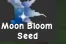 Moon Bloom Seed