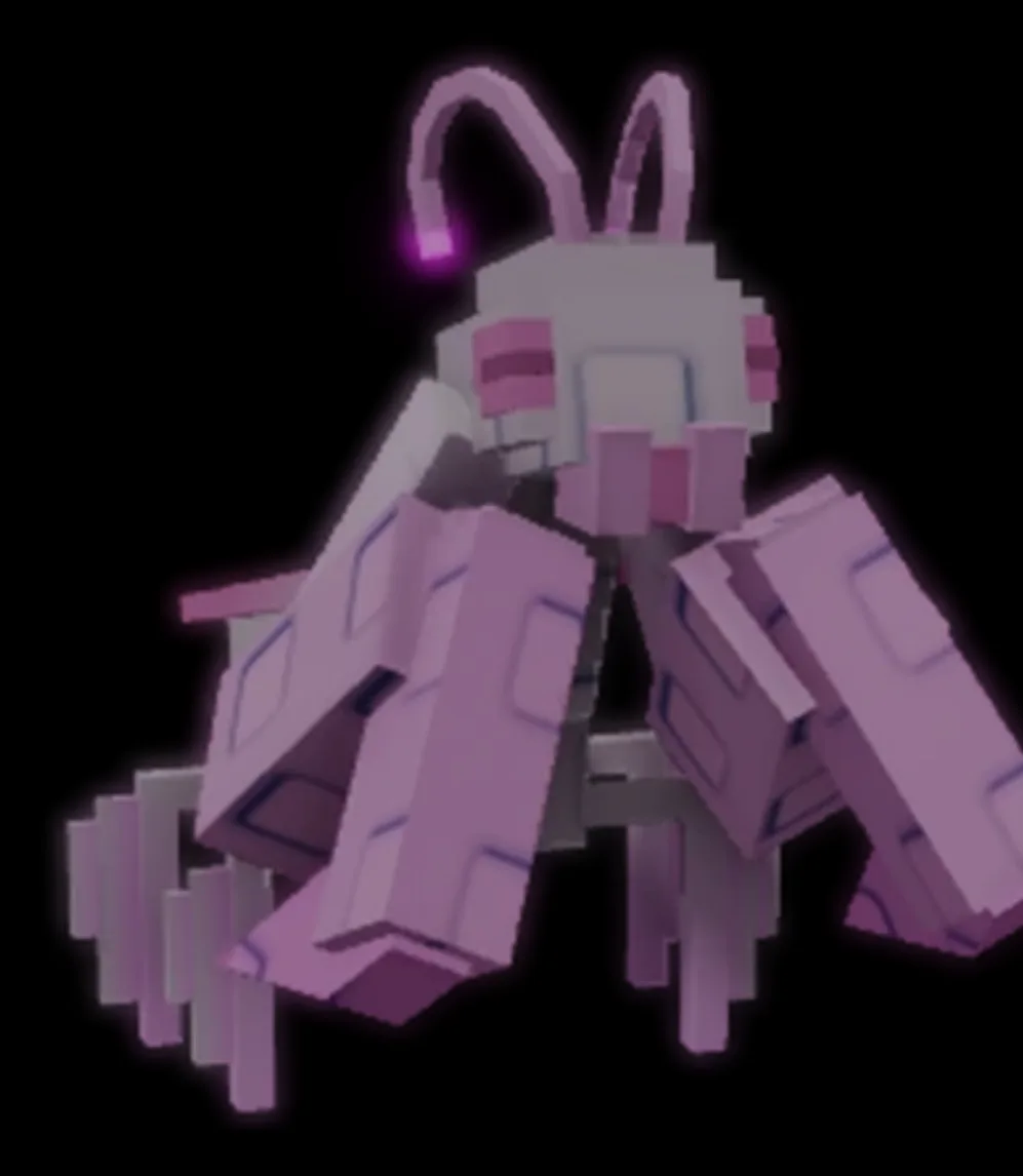 ORCHID MANTIS PETS