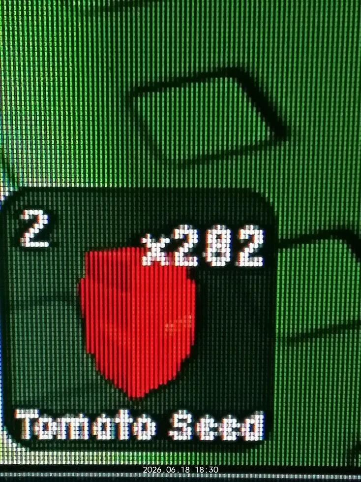 Tomato Seed (Uncommon) — Account account