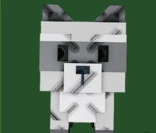 Raccoon (Super) — Account account