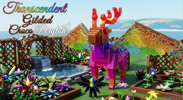 280.71KGKG TRANCEDEND GIGANTIC GILDED CHOCO PERYTON I MAX 500 AGE l READY TO USE - 10MINS MAX CD - NO TOY
