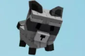 Grow a Garden Raccoon Non Dupe