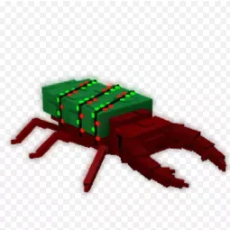 Pine Beetle