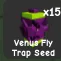 Venus Fly Trap Seed