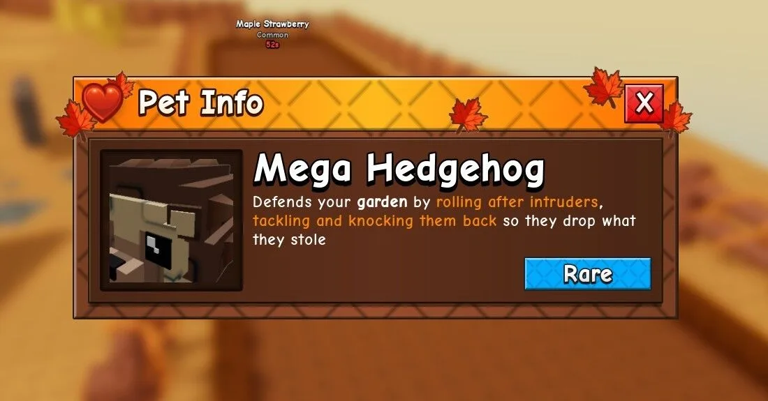Hedgehog (Rare)