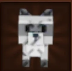 Raccoon (Super) — Account account