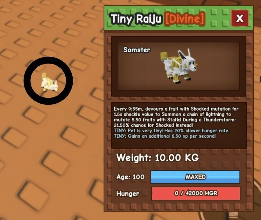 TINY Raiju - 10.00 KG (Age 100) — Account account