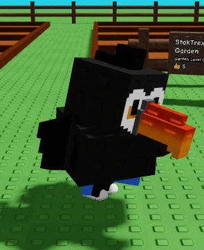 Toucan