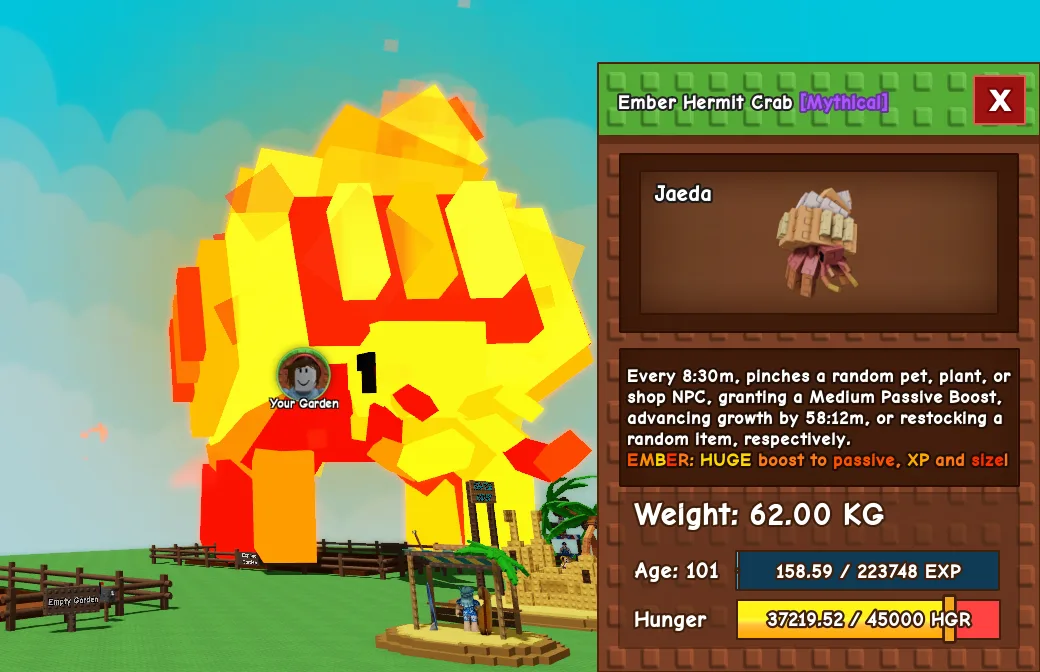 62kg Age 101 Ember Hermit Crab
