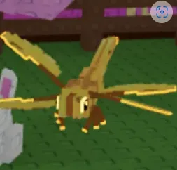 Golden Dragonfly — Account account