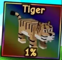 Tiger — Account account