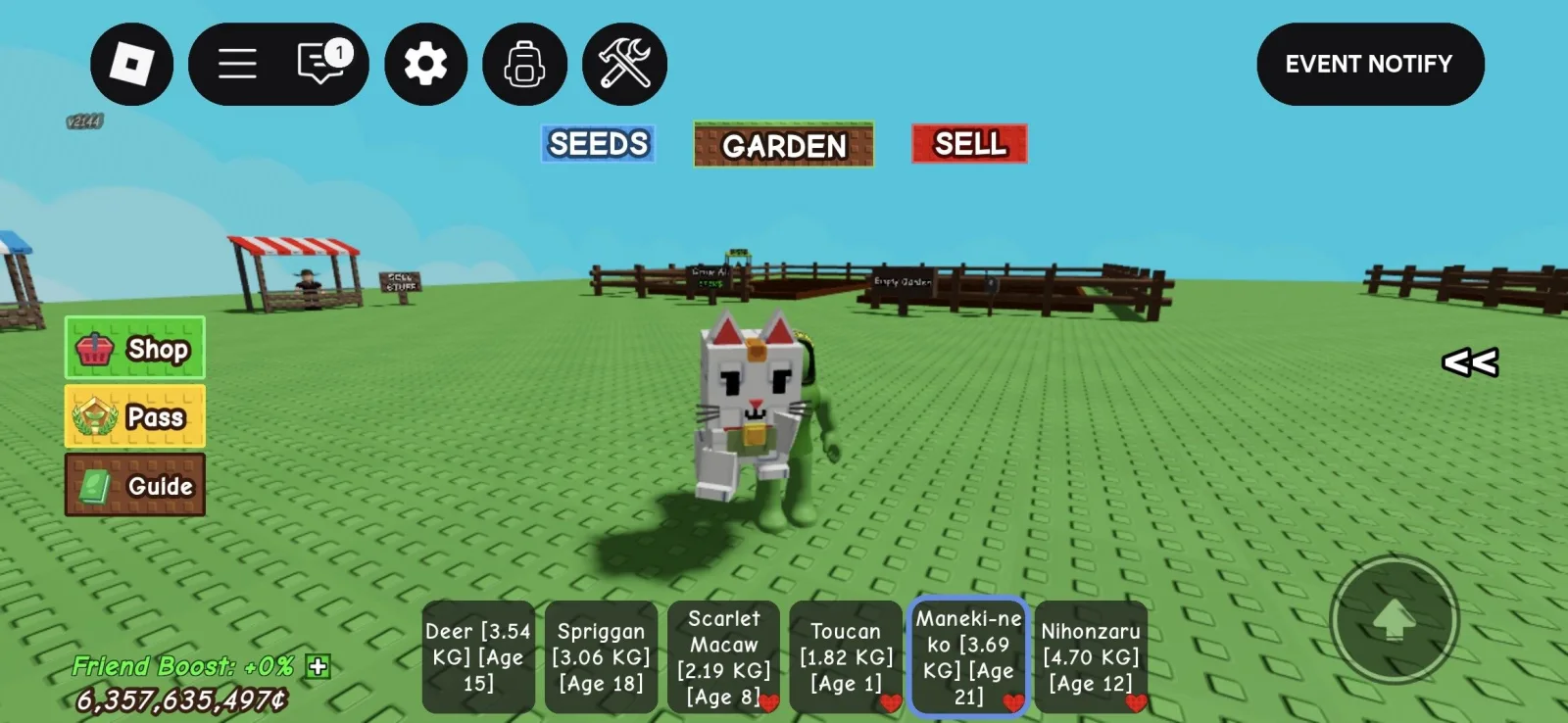 Maneki-neko 3.69kg age 21