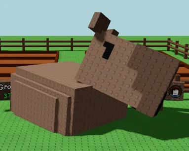 Mega Capybara (10,75 Kg, Age 66)