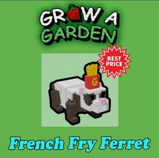 French Fry Ferret — Account account