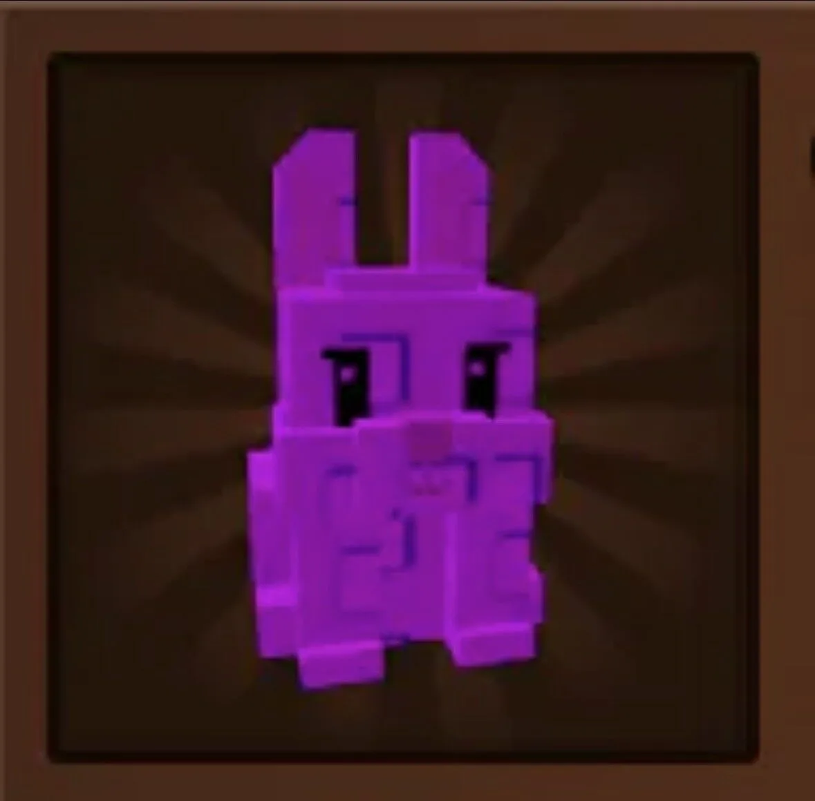 Bunny