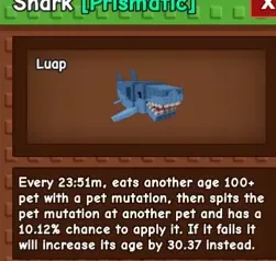 Shark