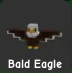 BALD EAGLE GAG2