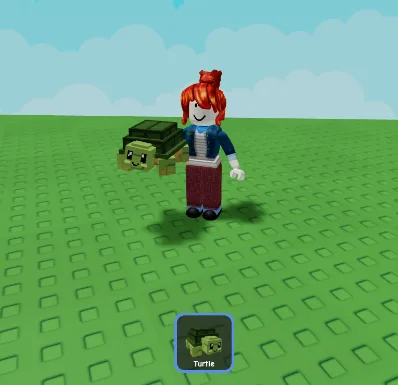 Turtle (Rare)