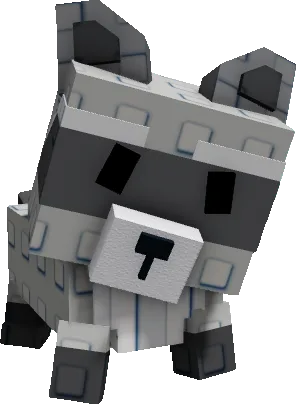 RACCOON