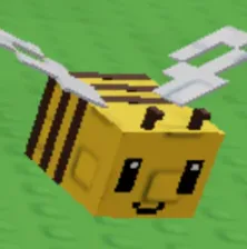 Bee — Account account
