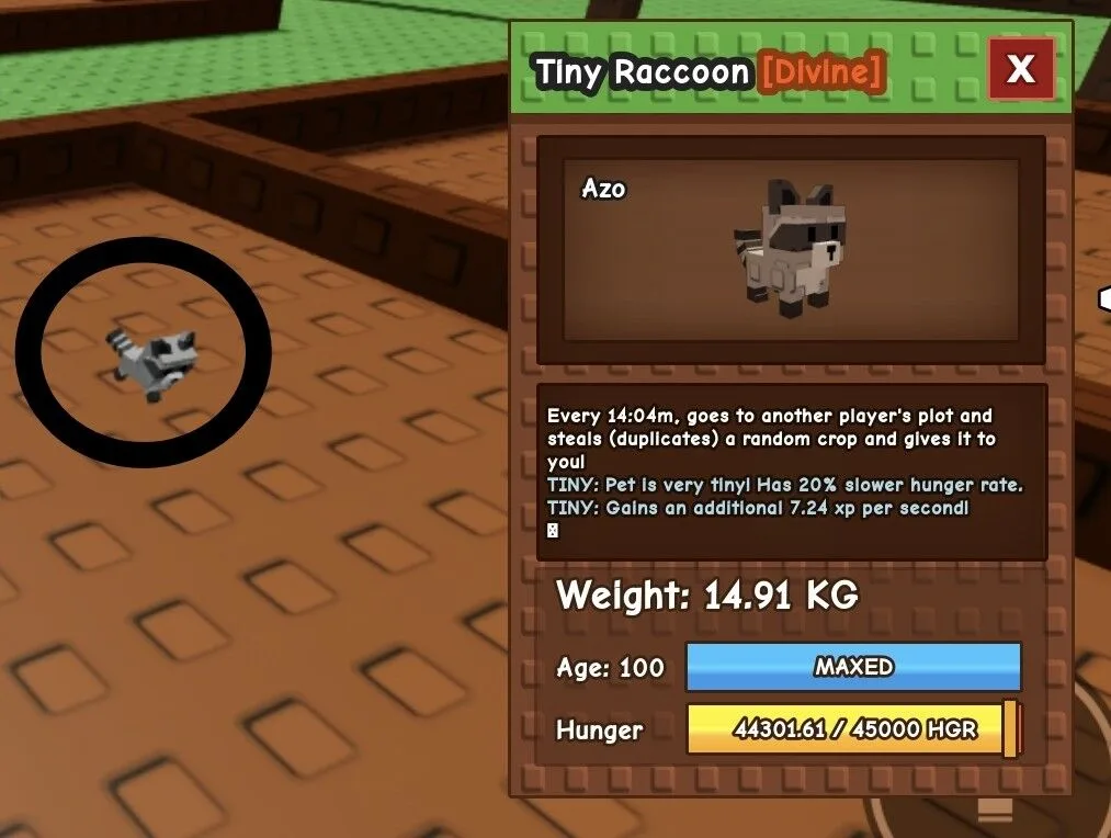 TINY Raccoon - 14.91 KG (Age 100)