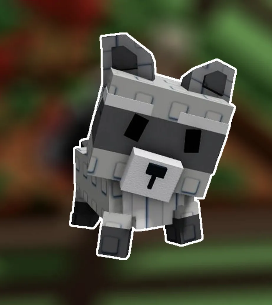 Raccoon