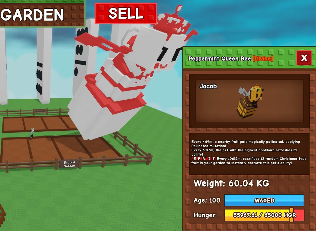 60kg+ Peppermint Queen Bee — Account account